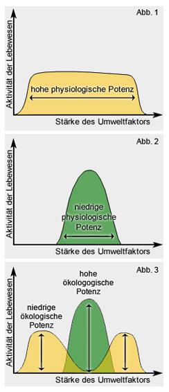 Physiologische und ökologische Potenz